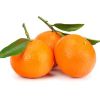 Wholesale Price for China's Sweet Mandarin Tangerine Fresh Seasonal Citrus Fruit Papagan Premium Quality Oranges