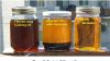 Used Oil to Biodiesel Production Machine Advance Technology Used Cooking Oil