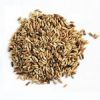 Cheap Rye Grain- (orga...