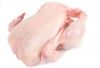 Wholesale Premium Supplier ! Halal Frozen Whole Chicken Halal Chicken Processed Meat