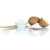 Factory Wholesale Bulk Potato Starch Food Additive Potato Modified Starch Best Price