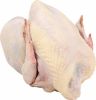 Halal Certified Frozen Chicken Frozen Whole Turkeys and Turkeys Parts for Sale
