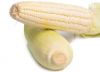 Discount Sale Dried Corn Starch Maize Corn Starch-Modified Flour Made From Wheat Durum Wheat Rice Packaged in Bag