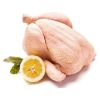 Wholesale Premium Supplier ! Halal Frozen Whole Chicken Halal Chicken Processed Meat