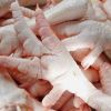 Best Sale Frozen Chicken Paws / Wholesale Price Frozen Chicken Feet / Frozen Whole Chicken for Human Consumption