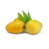 Alphonso mango Export ...