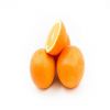 Fresh Orange Bulk Buy Orange Price Tangerine Mandarin Orange for Sale