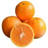 Fresh Orange Bulk Buy Orange Price Tangerine Mandarin Orange for Sale
