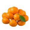 Fresh Orange Bulk Buy Orange Price Tangerine Mandarin Orange for Sale
