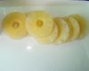 New Arrival Canned Pineapple Slice in Syrup Fresh Pineapple for Production