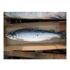 Buy Top Quality Frozen Salmon Fillets Low Price Fast Delivery in Stock Cheap Price Seafood Fillets for Sale