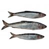 IQF 90%NW 300-500g Fro...