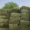 Quality Alfalfa Hay/ T...