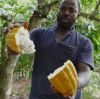 Pure Natural Organic Cacao Butter Raw Bulk Supplier,1kg,Cold Pressed Unrefined Cocoa Butter Food Grade for Chocolate & Cosmetics