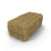 Export Quality (Wheat Straw) hay Bales Best Wheat hay Bales Alfalfa Animal Feed
