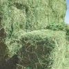 ALFAFA HAY in BALES, TIMOTHY HAY, and ALFAFA HAY PELLETS for SALE LUCERNE ALFALFA HAYS for ANIMAL FEEDING
