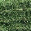 American Alfalfa Lucerne Hay for Animal Feed Cattle Horse Cow Chicken Pet