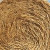 Export Quality (Wheat Straw) hay Bales Best Wheat hay Bales Alfalfa Animal Feed
