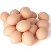 Buy Cobb 500 Broiler Chicken Fertilized Eggs Fresh White Brown Table Eggs Preserved Style for China Market