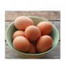Buy Cobb 500 Broiler Chicken Fertilized Eggs Fresh White Brown Table Eggs Preserved Style for China Market