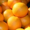 Fresh Mandarin Orange/...