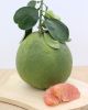 FRESH GRAPEFRUIT/ POME...