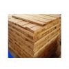 Cheap Price Pine Softwood Paulownia wood board Sawn Paulownia Timber Lumber for Furniture