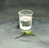 MEG Monoethylene Glycol Propylene Glycol 99% PG CAS: 57-55-6 Mono Propylene Glycol MPG Liquid Chemical for Food Industry