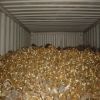 Brass Honey Scrap Clean Honey Wire Scraps in Bulk