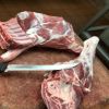 HALAL Fresh, Frozen Goat/ Mutton Meat/ Lamb Meat Carcass