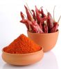 Natural Dried Paprika Bulk Red Chili Powder