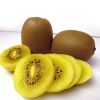 Fresh Yellow Kiwi fruit Pulp Organic