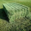  Alfalfa Hay / Timothy Alfafa Hay