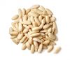 Quality Pine Nut Kernels