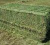  Alfalfa Hay / Timothy Alfafa Hay