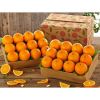 fresh oranges navel or...