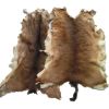 Wet Salted and Dried Donkey Hides/Goat Skin / Salted Cow Hides. 