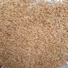 Russian wheat agricultural crop in big bags