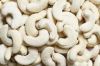 Hot selling Grade AA Cashew Nuts raw cashew nuts   w320