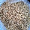 Russian wheat agricultural crop in big bags