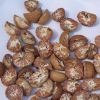 SELL DRIED WHOLE BETEL NUT GOOD CUT FROM South Africa