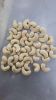 Hot selling Grade AA Cashew Nuts raw cashew nuts   w320