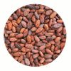 Cacao bean / cocoa (Or...