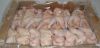 Chickens Frozen HACCP HALAL Frozen Whole Chicken and parts