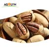 pecan nuts