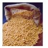 Organic Soybean/ Soya Bean