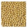 Organic Soybean/ Soya Bean