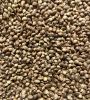 Organic Whole Hemp Seeds