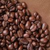 Arabica Coffee Beans