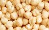 Chick Peas / Pulses